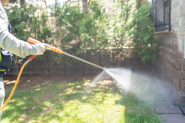 Best Pest Exclusion Services  in Great Neck Plaza, NY